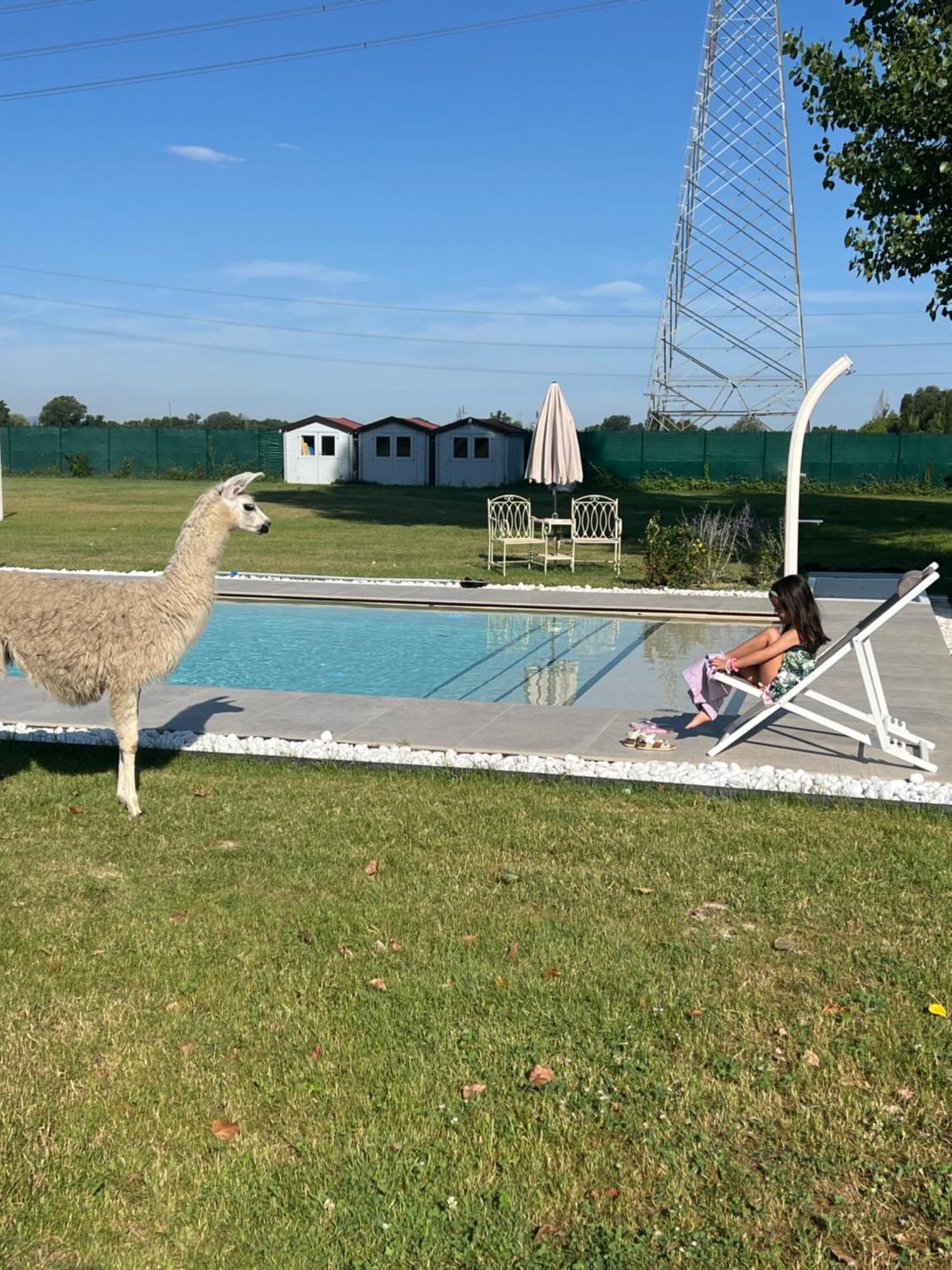 Bed & Breakfast Iris Modena