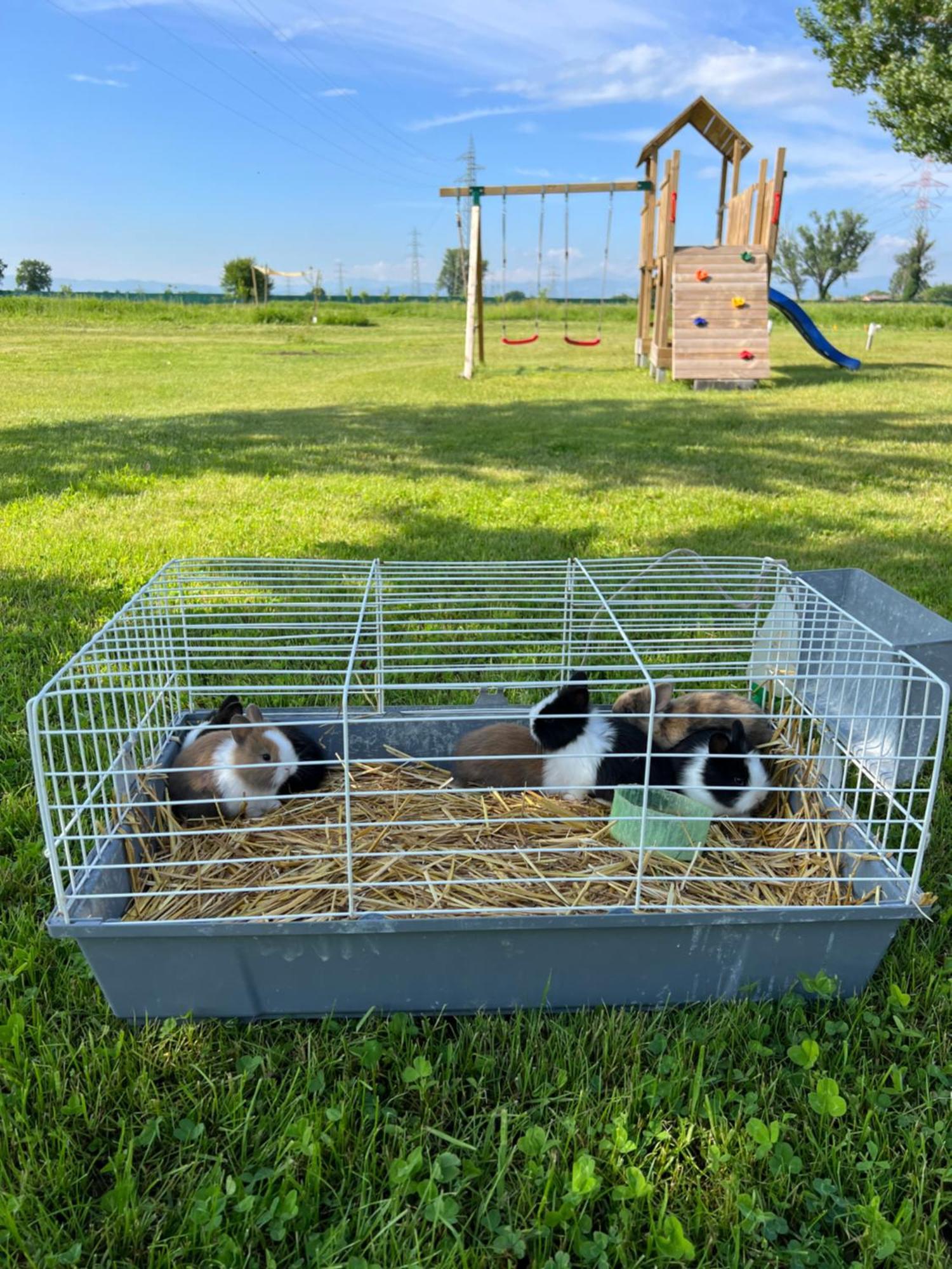 Iris Bed & Breakfast